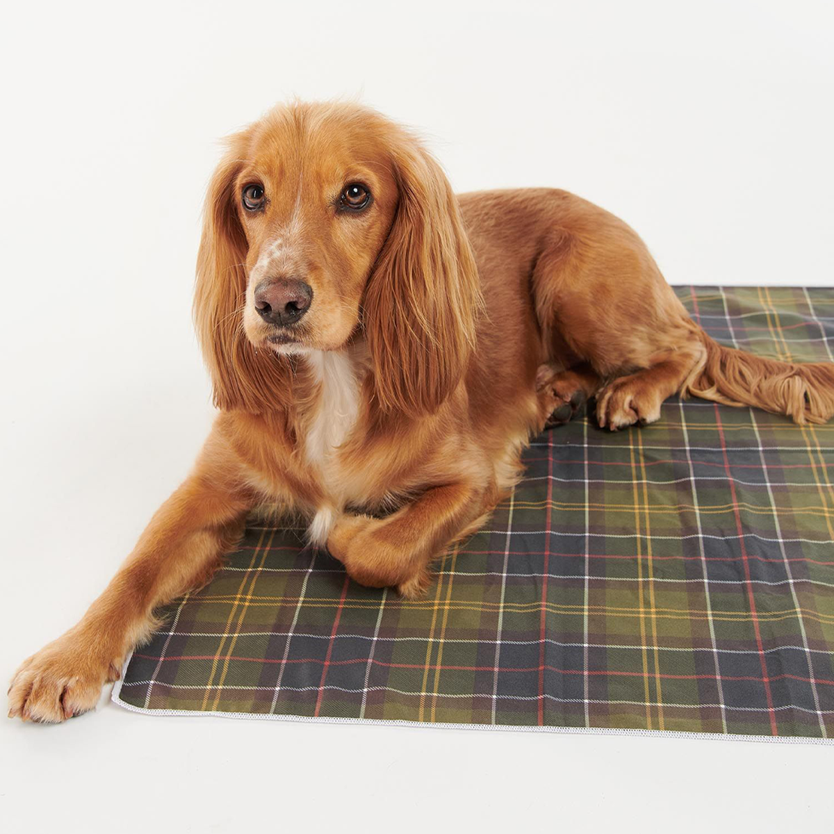 Barbour Tartan Quick Dry Dog Towel Classic Tartan Carl Russell and Co