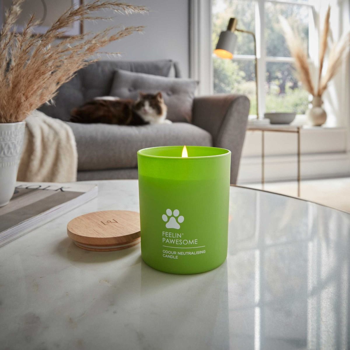 Wax Lyrical Candle Feelin' Pawsome (Medium) Carl Russell and Co