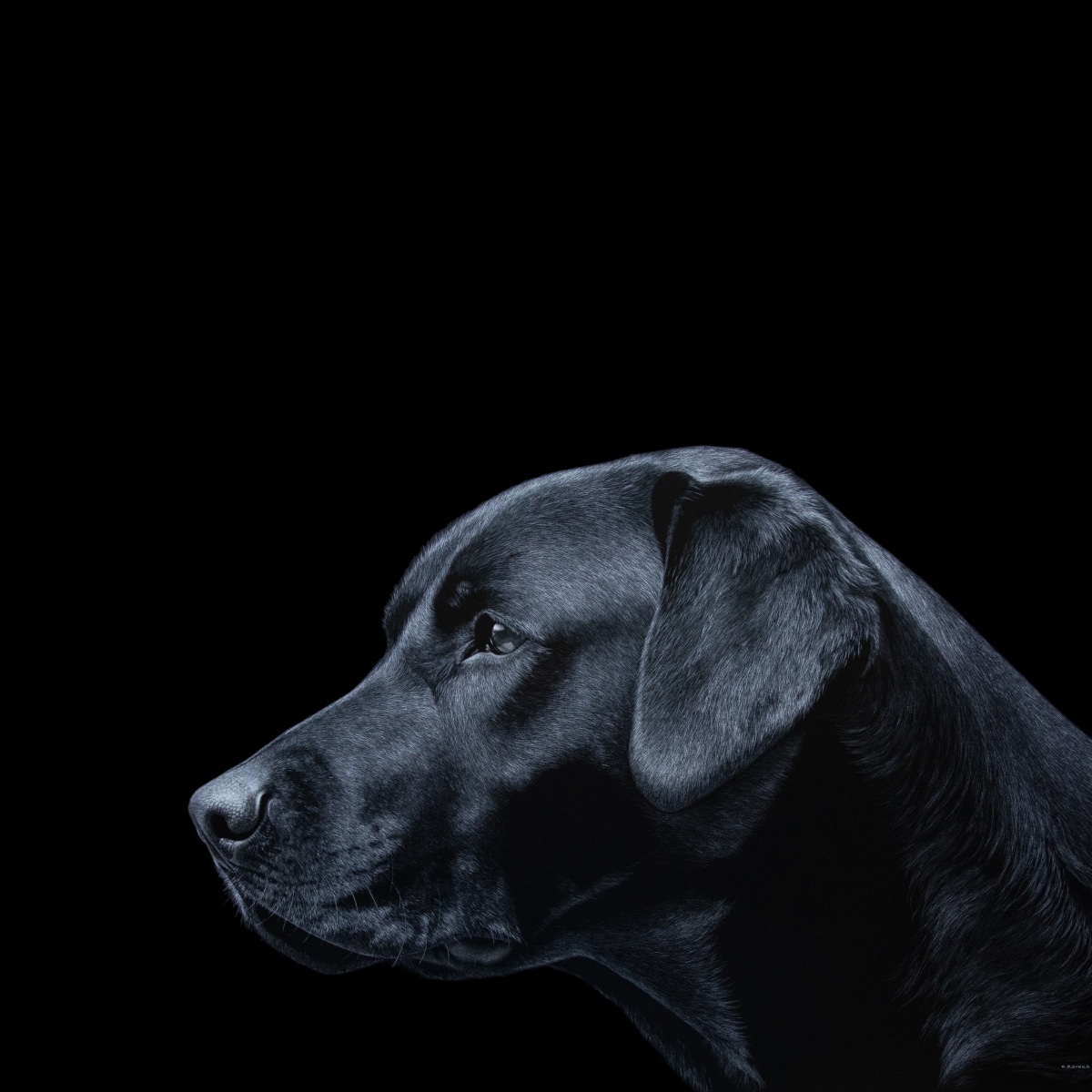 Keith Sykes - Black Lab Card