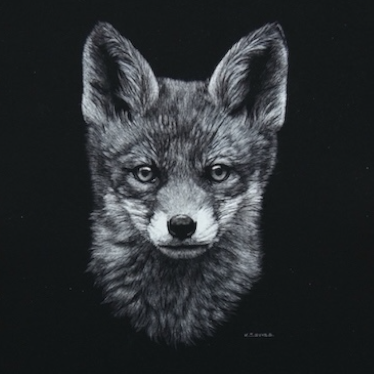Keith Sykes - Fox Cub Card