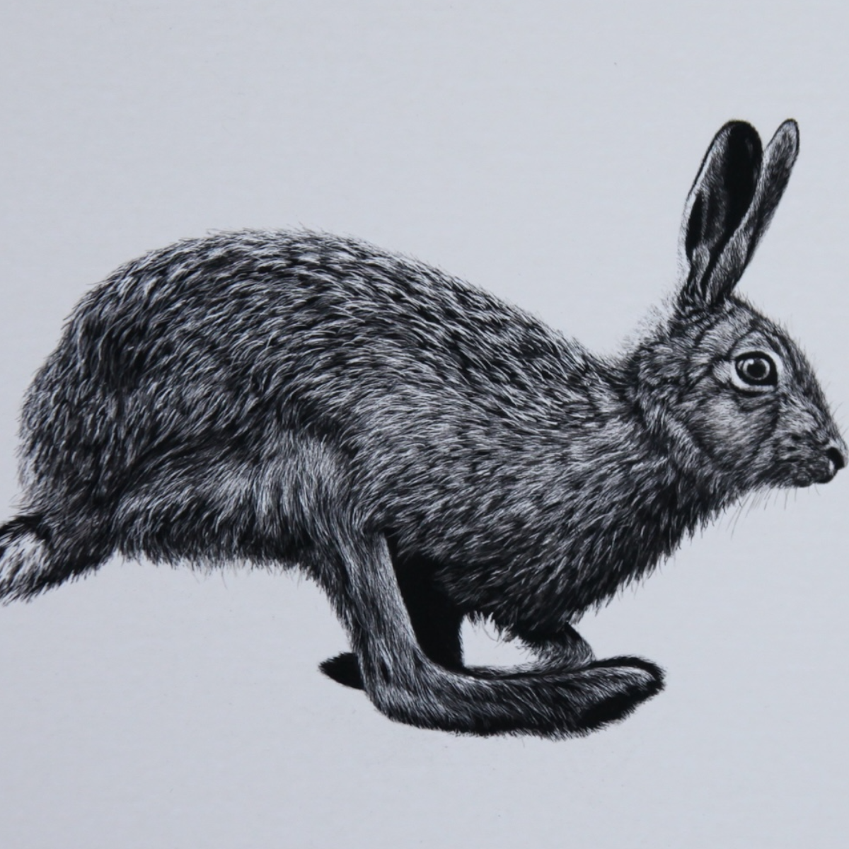 Keith Sykes - Running Hare Card
