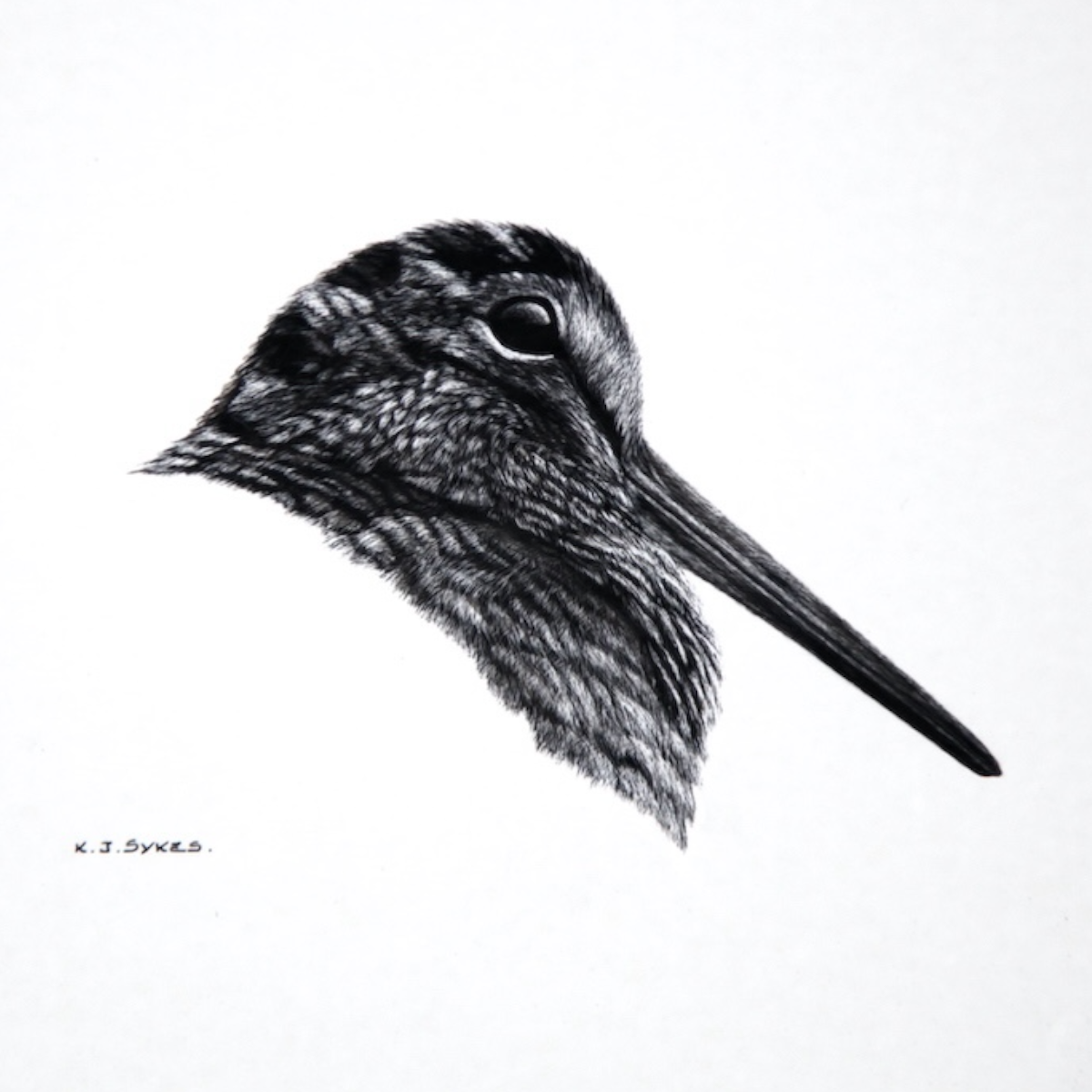 Keith Sykes - Woodcock Card