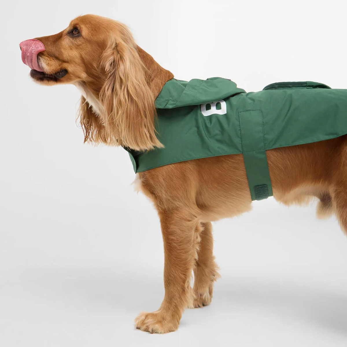Barbour Packable Dog Coat - Green - Image 2