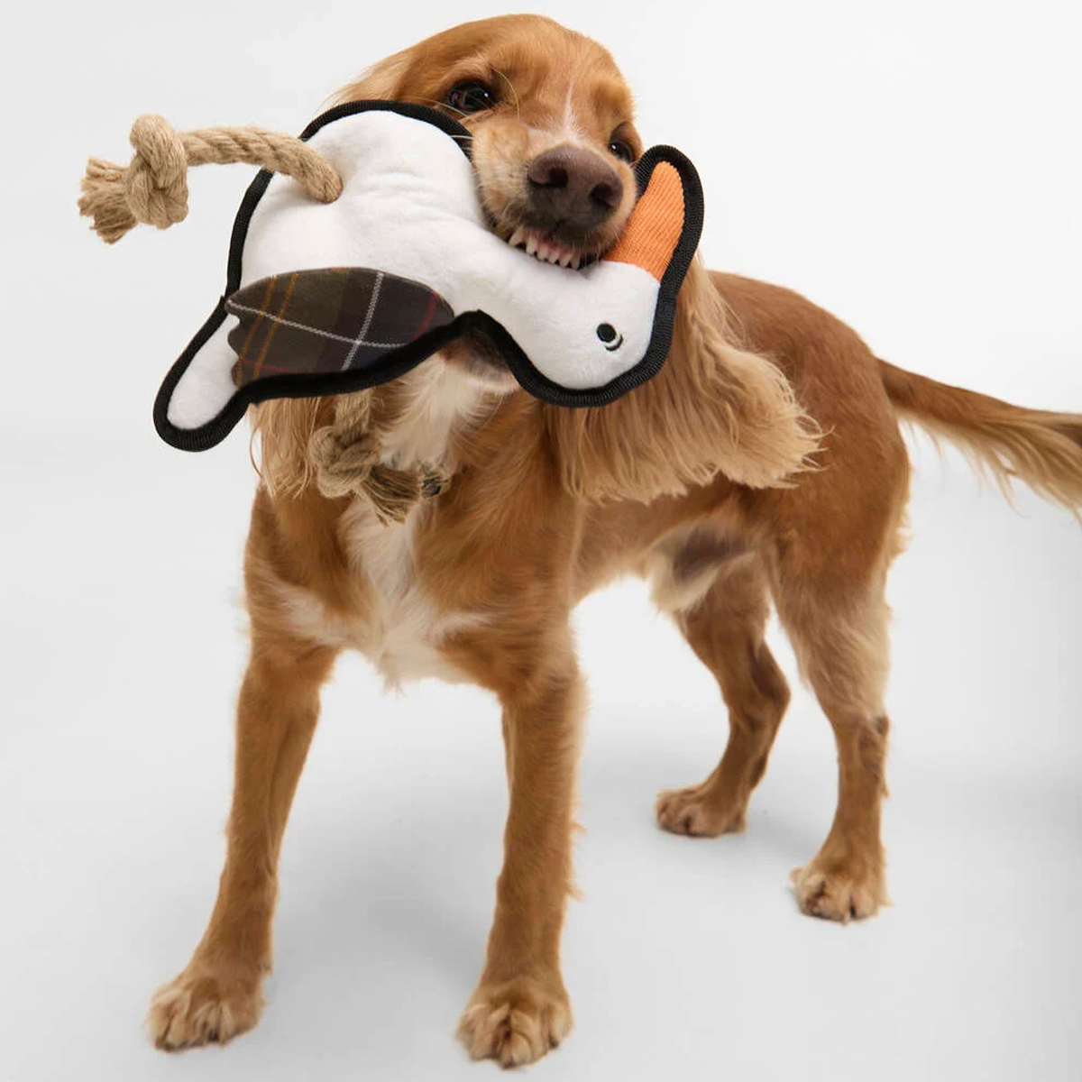 Barbour Seabird Dog Toy - White - Image 3