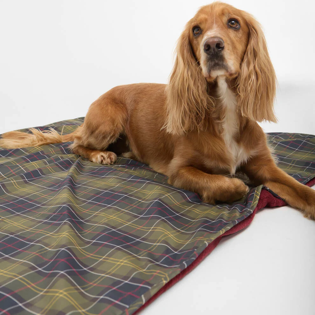 Barbour Dog Towel/ Blanket - Classic - Image 2